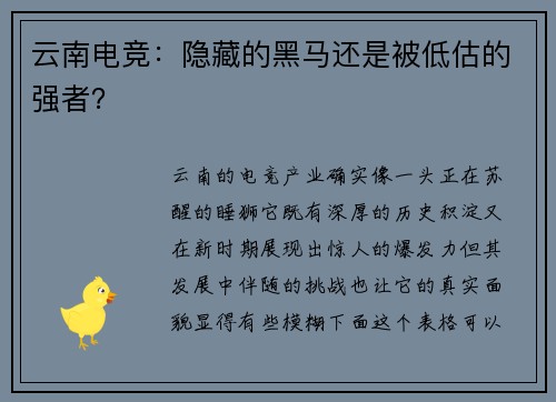 云南电竞：隐藏的黑马还是被低估的强者？